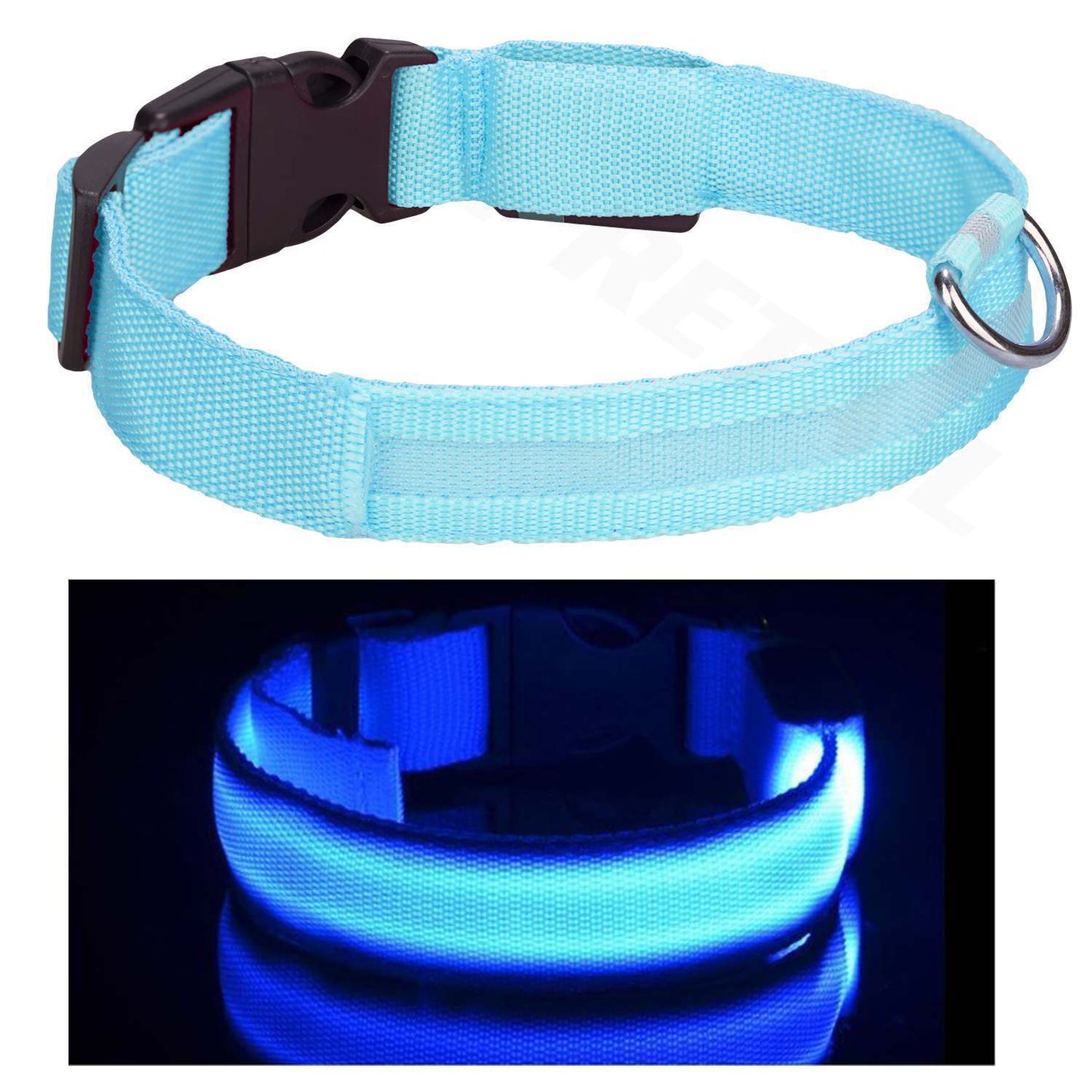 Adjustable LED Safety Collar