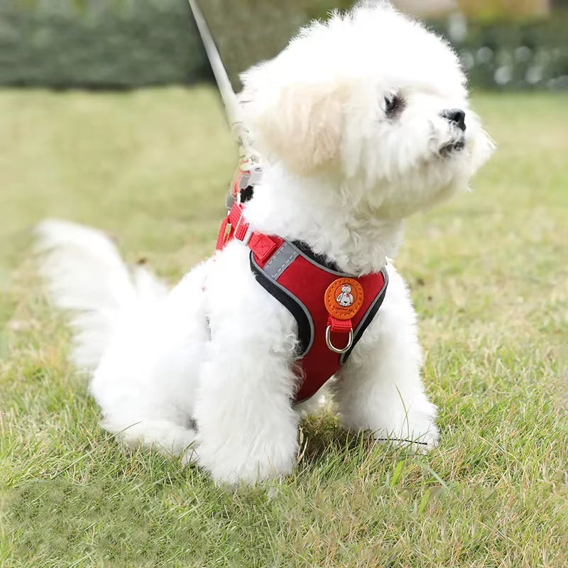Harness Set Adjustable Dog Collar Dog Small and Medium Dog Puppy Vest Bichon French Bulldog Harness Dog Harness Leash
