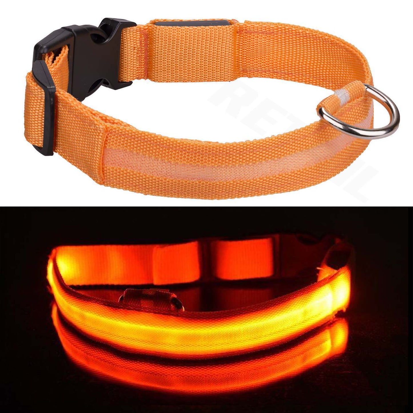 PawLite™ Adjustable LED Safety Collar