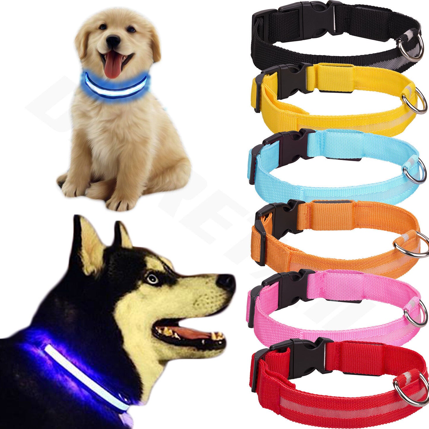 Adjustable LED Safety Collar