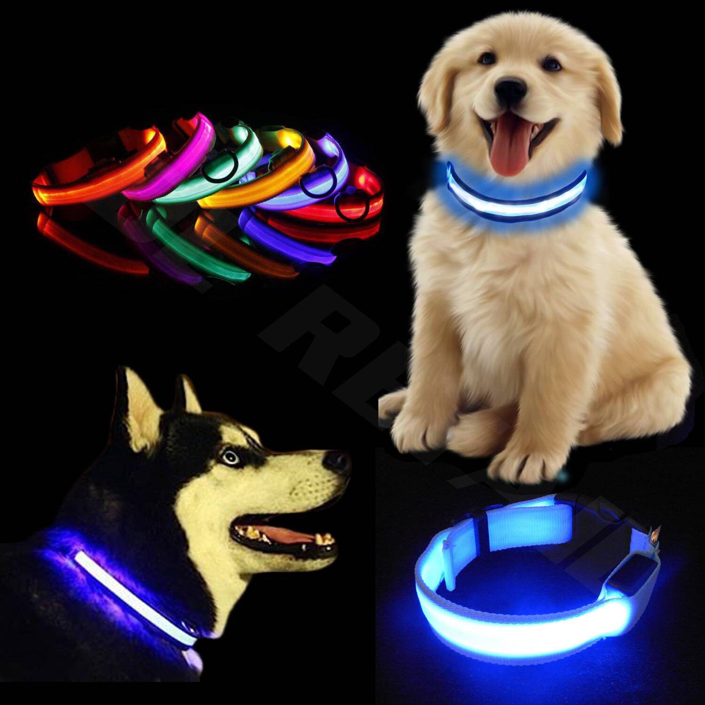 Adjustable LED Safety Collar