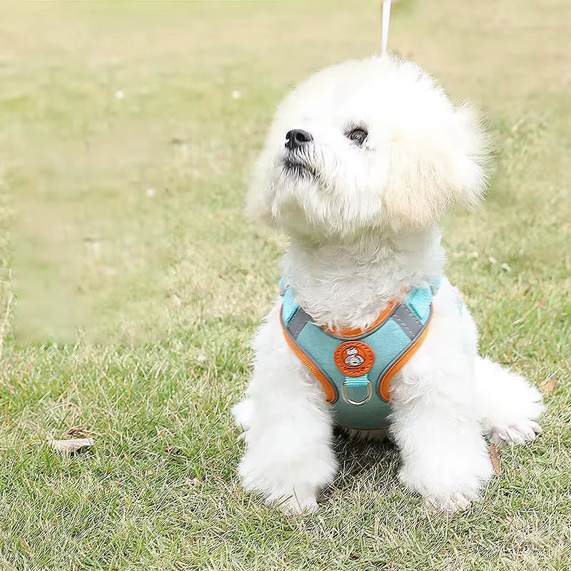 Harness Set Adjustable Dog Collar Dog Small and Medium Dog Puppy Vest Bichon French Bulldog Harness Dog Harness Leash