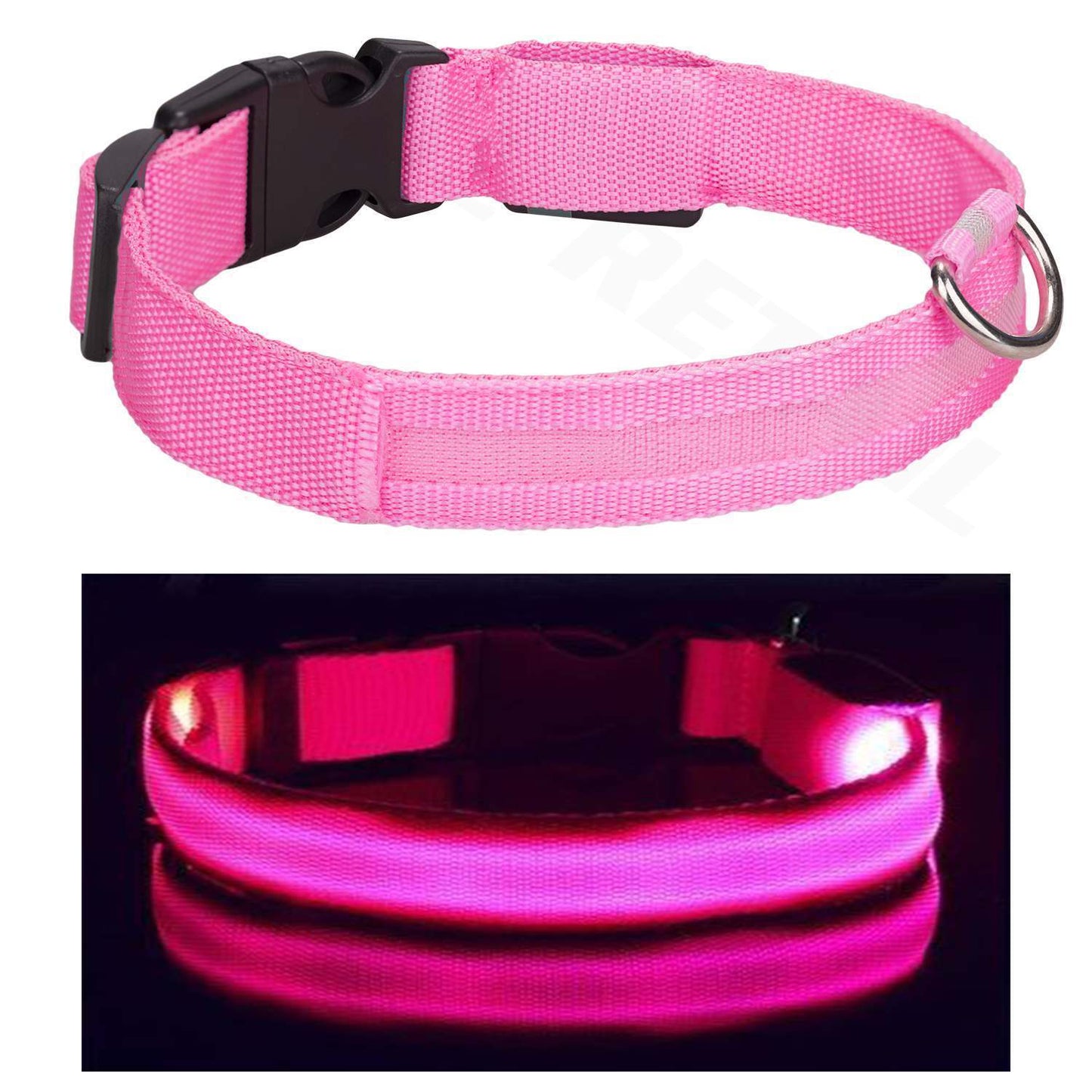 PawLite™ Adjustable LED Safety Collar