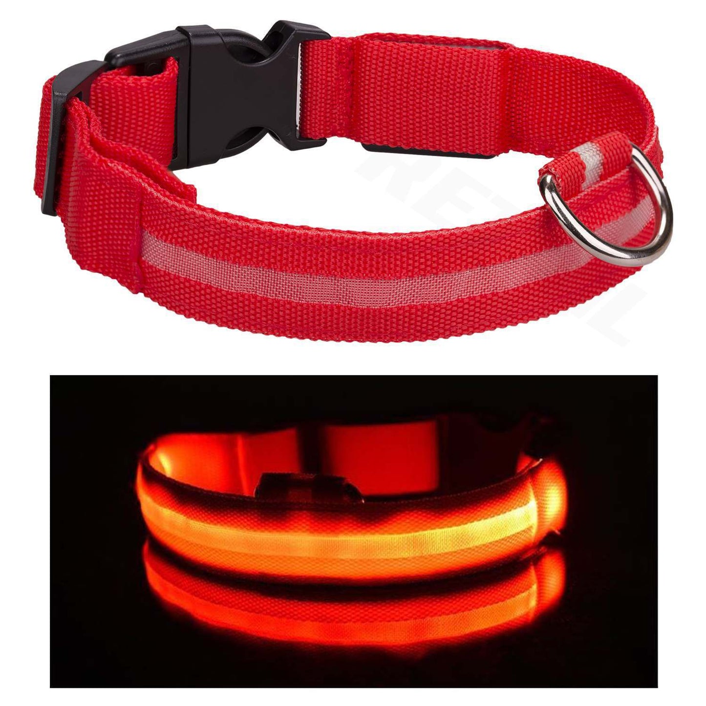 Adjustable LED Safety Collar