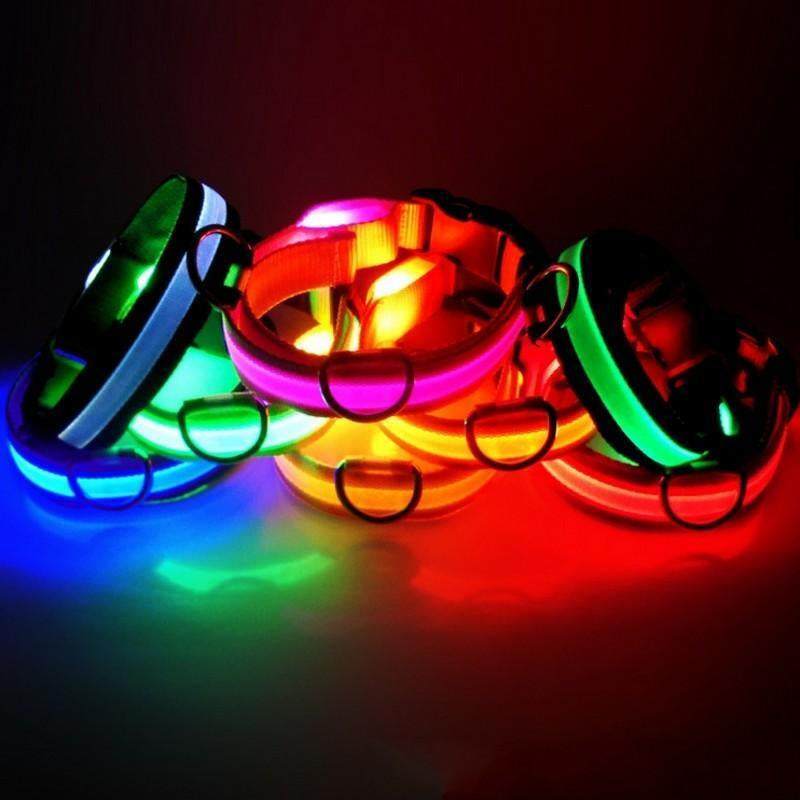 Adjustable LED Safety Collar