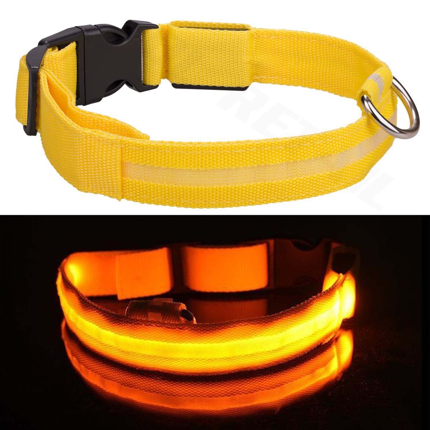PawLite™ Adjustable LED Safety Collar